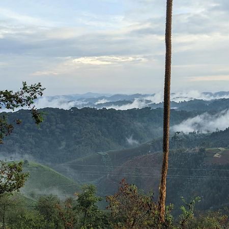 Nyungwe Village Kitabi Exterior photo
