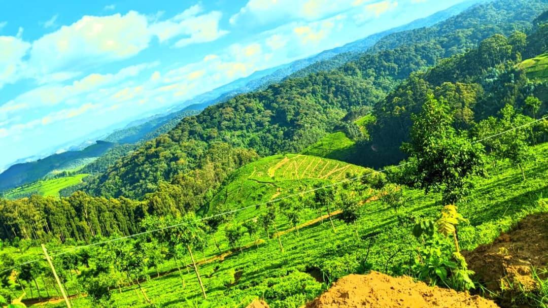 Nyungwe Village Kitabi Exterior photo